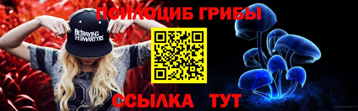 Псилоцибиновые грибы Psilocybine cubensis Губаха